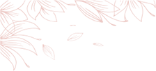 Mix Hairstrokes + Shading